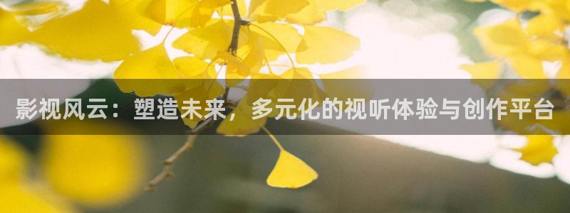 飞马良子影视有限公司：影视风云：塑造未来，多元化的视听体验与创作平台