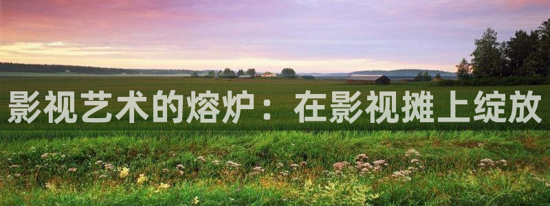 飞马影院下载：影视艺术的熔炉：在影视摊上绽放