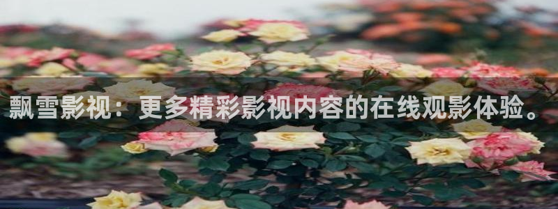 飞马影视：飘雪影视：更多精彩影视内容的在线观影体验。