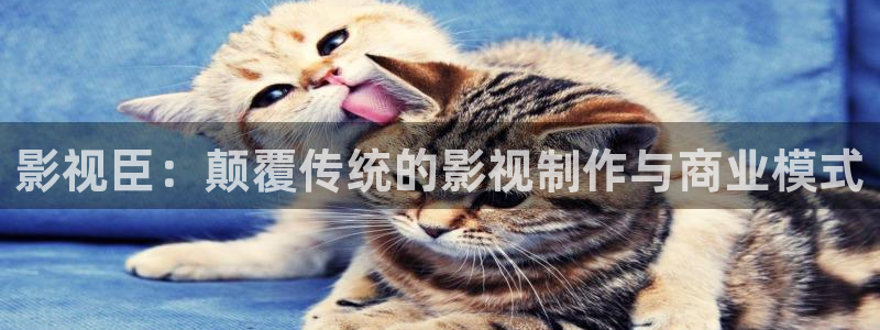 飞马影院app：影视臣：颠覆传统的影视制作与商业模式