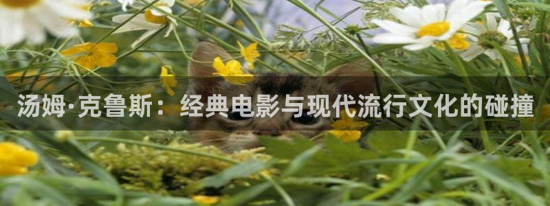飞马影院免费下载：汤姆·克鲁斯：经典电影与现代流行文化的碰撞