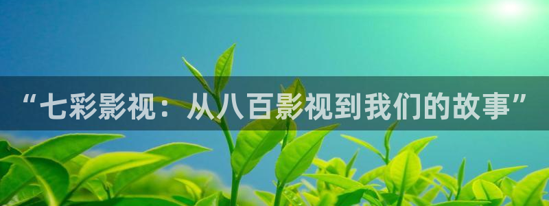 飞马影院app：“七彩影视：从八百影视到我们的故事”