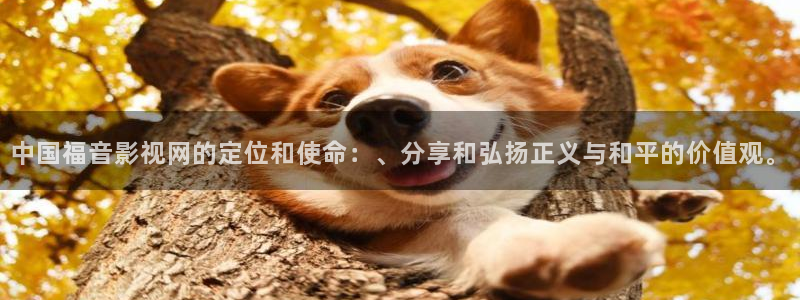 飞马影院在线观看：中国福音影视网的定位和使命：、分享和弘扬正义与和平的价值观。
