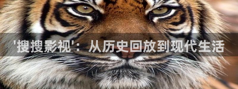 飞马影视：\'搜搜影视\'：从历史回放到现代生活