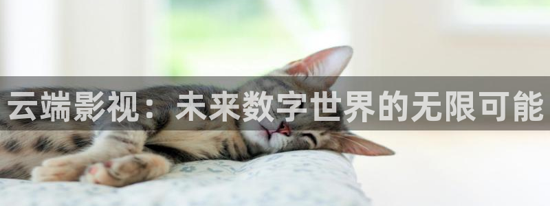 飞马影视：云端影视：未来数字世界的无限可能